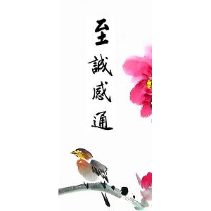 净空法师讲故事：念到哪里，雨就下到哪里