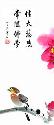 净空法师开示：临命终时一塌糊涂