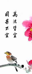 净空法师开示：你的运衰了，他就上你的身