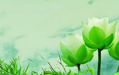 缺德就是要发脾气