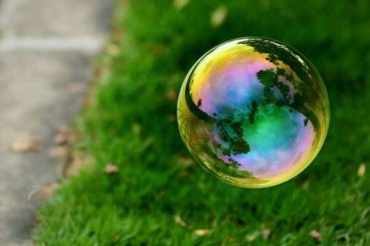 在你没有开悟之前，都是在做梦