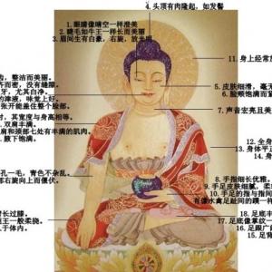 净空法师细讲佛陀三十二相