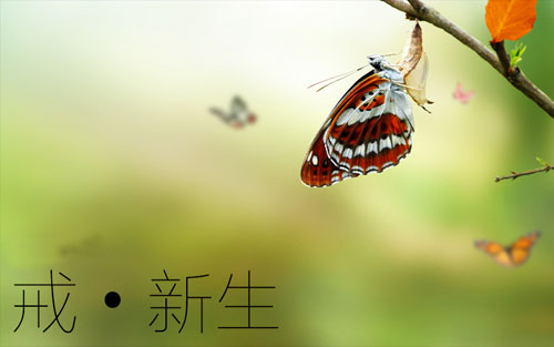 戒邪淫.jpg