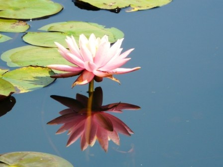 宁可千生不悟，勿教一时着魔