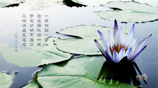 仗佛慈力，于此了生死大事