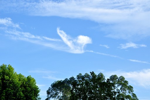 人死后焚化遗体的意义所在