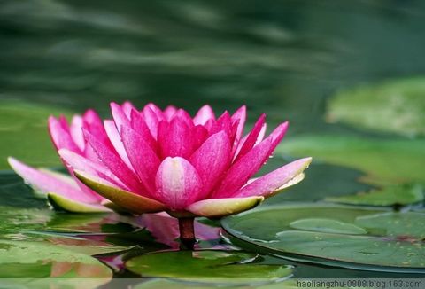 吴南浦居士的信佛因缘