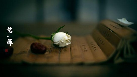 若论幻身，则生同傀儡死作尘土