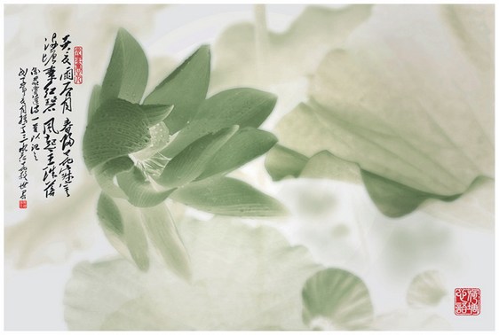 天地之大德曰生，如来之大道曰慈