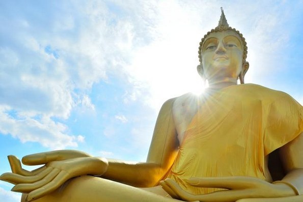 若欲不受苦果，必须先断恶因