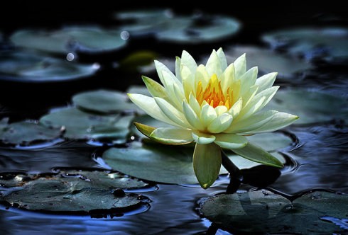 破坏亲人往生正念，其罪过极大无比