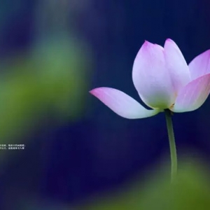 念观世音菩萨三年多 瘫子康复