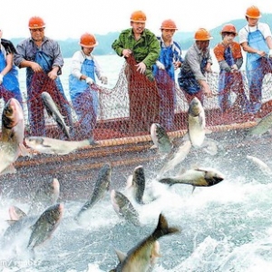 佛为比丘破前世情爱