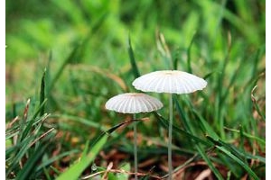 佛陀教导我们理财的方法