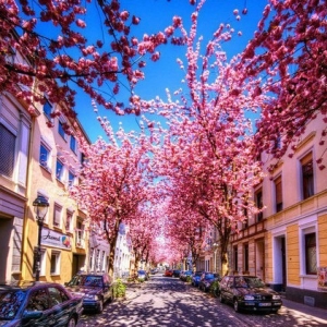 你会遇到好姻缘吗？30年感情丰富的大姐泣血告诫