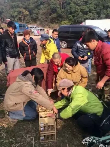 孙俪邀《芈月传》剧组集体放生.jpg