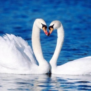 福业相当，方为夫妇