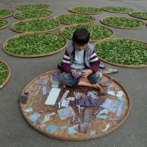 弃老取幼，家之不祥