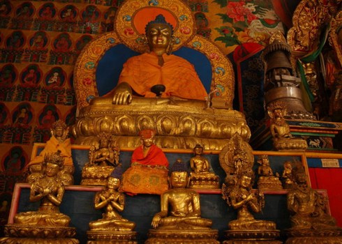 感情的利弊很多，究竟如何运用