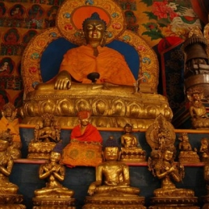 感情的利弊很多，究竟如何运用