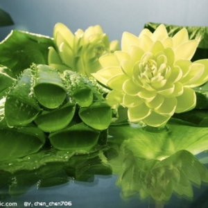 六种败夫的女人