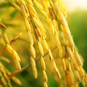 古人的修身箴言