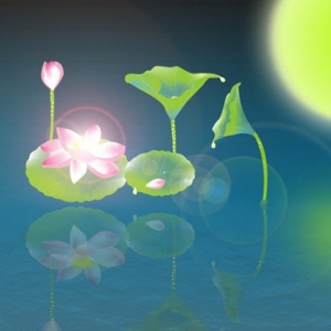 佛法让我找到利益家人的最好方式