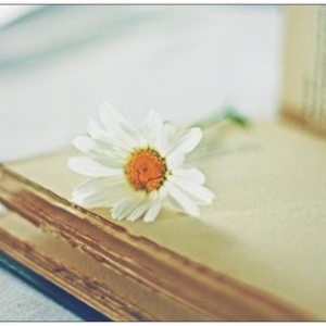 婚姻的成功取决于两点