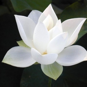 男女间交往须知