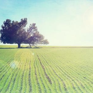 夫妻能够时时先检讨自己，坏事都能变好事
