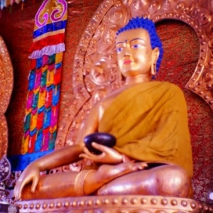 六德贤妻与五好丈夫