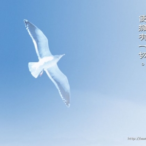 如何面对七情六欲