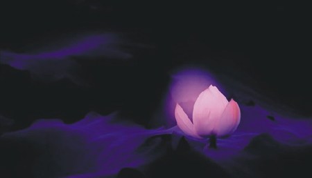 生命就是个奇迹