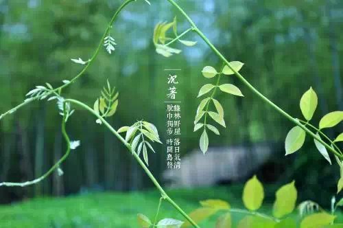 平生四辱成就曾国藩