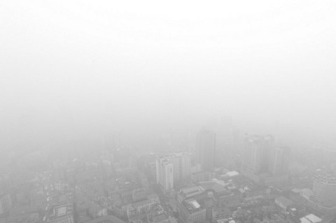我们每天都活在欲望和病态的雾霾中