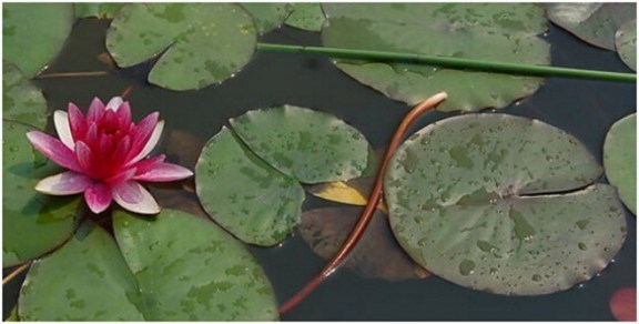 钱与吃，是现代人的共同爱好