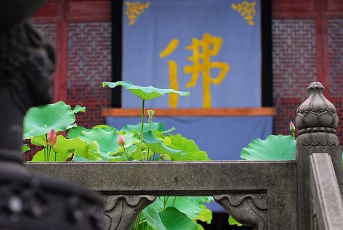 欲诵经灭罪，当做此观心法