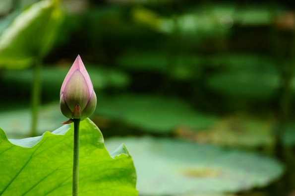 免除死刑的契机
