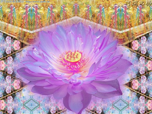 往生净土的愿，绝非世俗浊欲