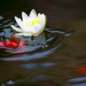 钱不要来得太快，也不要来得太多