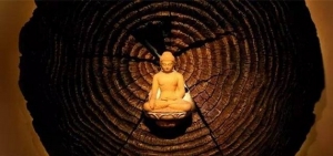 用不正当的方法好像赚钱很快