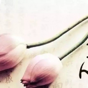 每个人都有自性之财