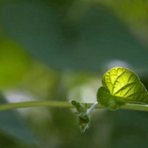 开始似乎是吃亏，后来还是会得大便宜的