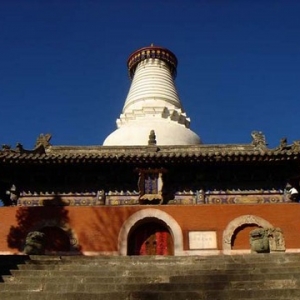 只有精神财富才可以真正依赖