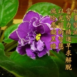 把无常败坏的资财，转成恒常受用的功德