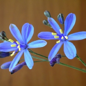 金钱不是福报的全部