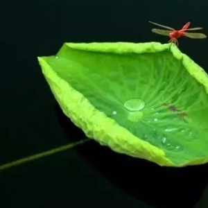 赚违背道义的钱，这个钱很难长久