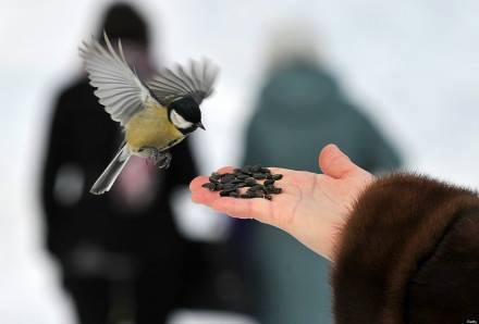 一碗面给予的启发