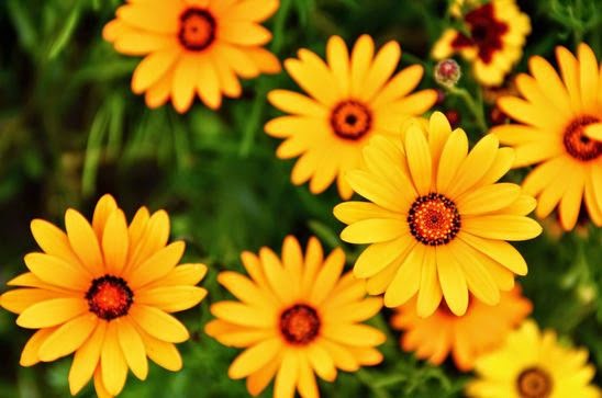 赚钱要对得起良心