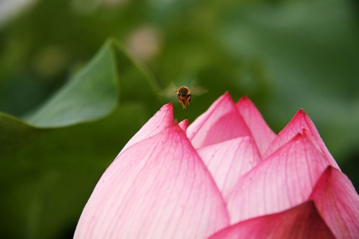 花钱还需要有智慧